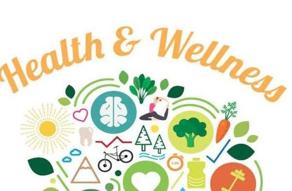 Practice of Health and Wellness for The Individual, Families and Community